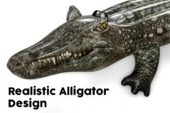 Bestway Inflatable Realistic Alligator Pool Float -Bestway Sale BWWebsiteCallout3 100 49502230 7d7b 4ed6 8322 1308d9434018