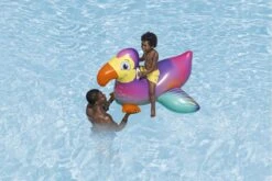 Bestway Inflatable Dandy Dodo Pool Float -Bestway Sale Untitled design 2024 11 28T094045.782