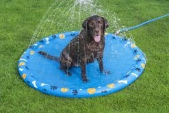Fetchin' Fun Dog Sprinkler Splash Pad -Bestway Sale dogpaddlingpool