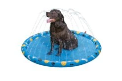 Fetchin' Fun Dog Sprinkler Splash Pad -Bestway Sale dogwatermat