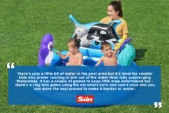 Bestway Polar Pals Kids Inflatable Paddling Pool With Play Center -Bestway Sale polar pals splah pad the sun review